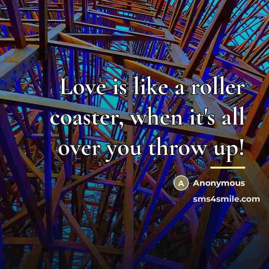 “Love is like a roller coaster, when it's all over…” quote by Anonymous