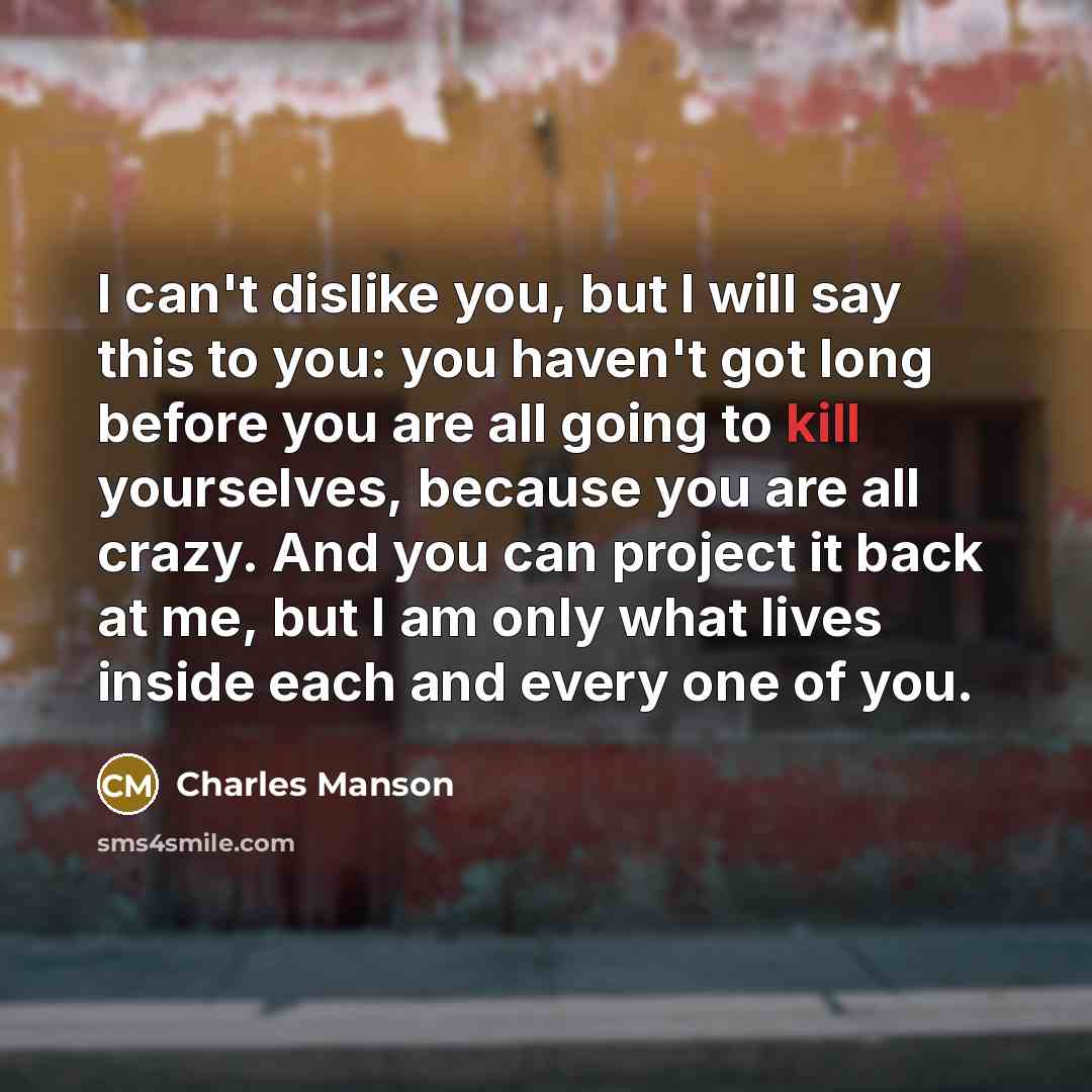 “I can't dislike you, but I will say this to…” quote by Charles Manson