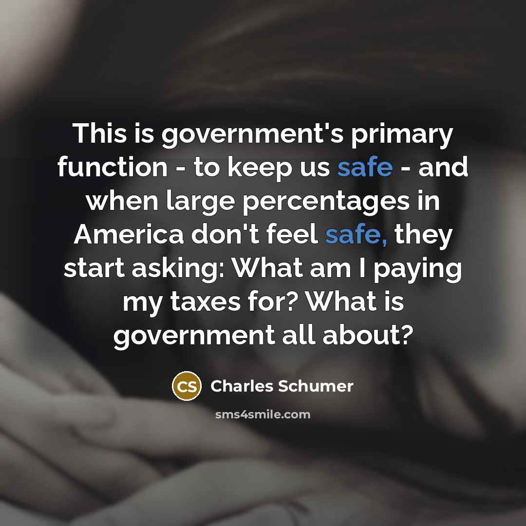 “This is government's primary function - to keep us safe…” quote by Charles Schumer