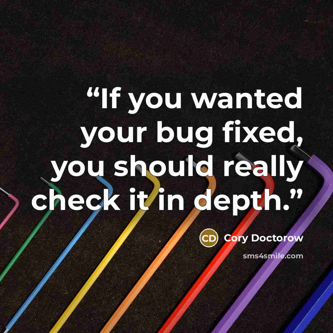 “If you wanted your bug fixed, you should really check it in depth.” quote by Cory Doctorow