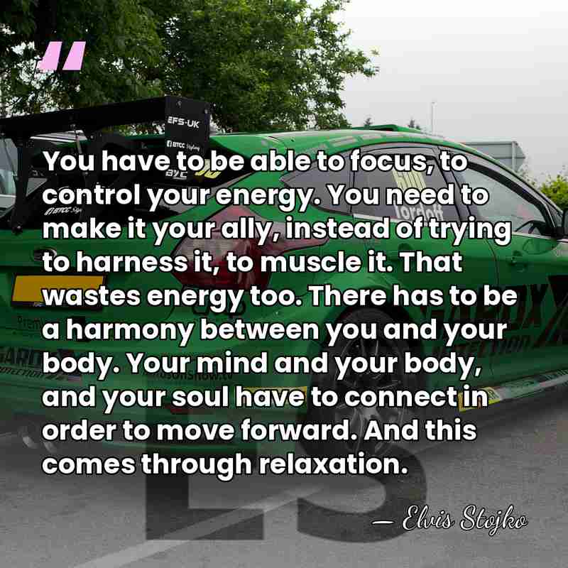 You have to be able to focus, to control your energy. You&hellip; - Elvis Stojko
