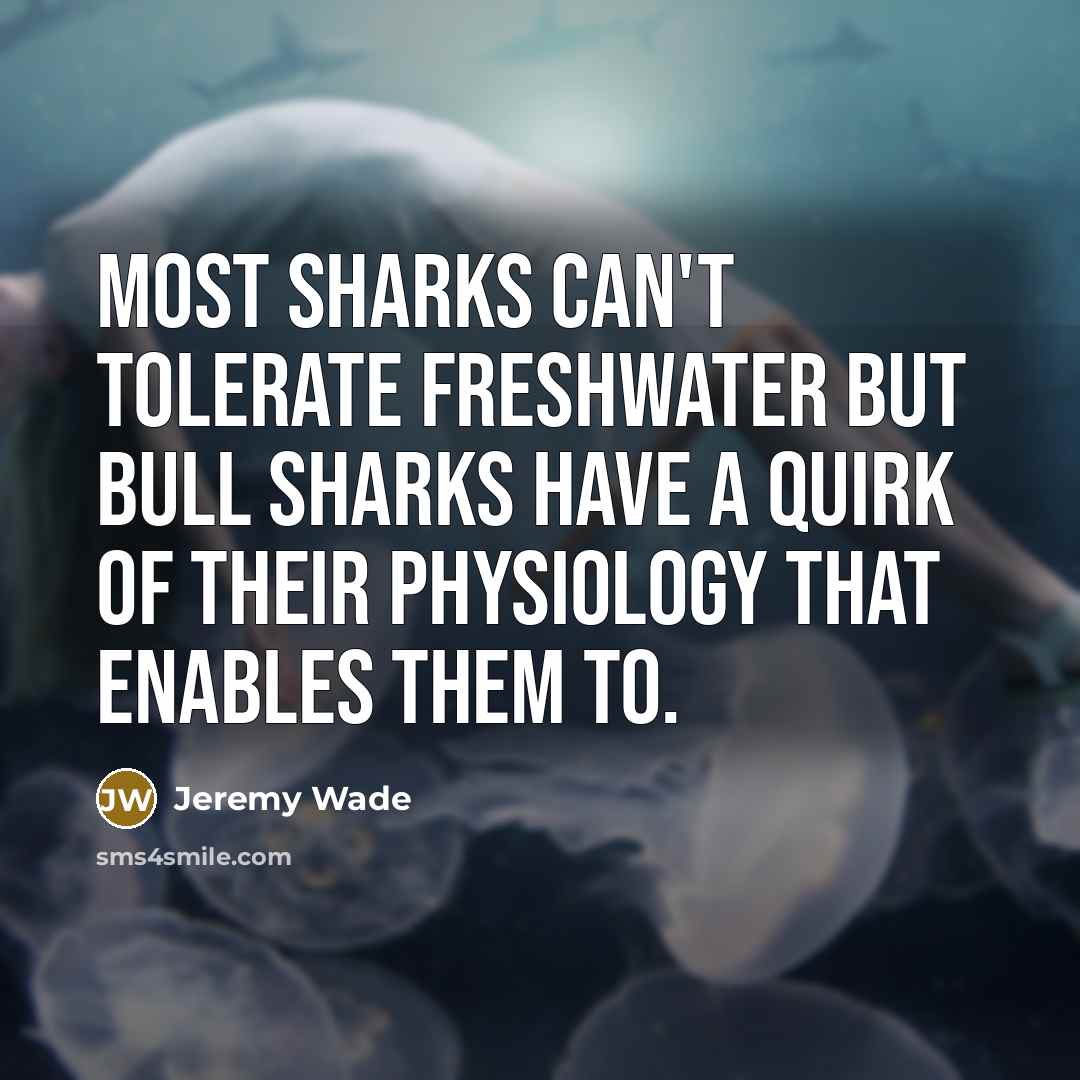 “Most sharks can't tolerate freshwater but bull sharks have a…” quote by Jeremy Wade