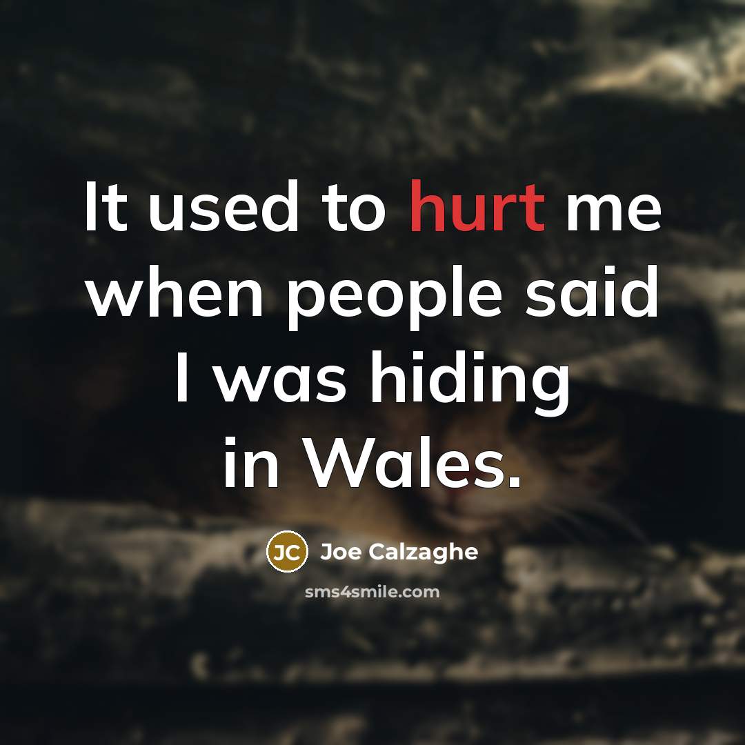 “It used to hurt me when people said I was…” quote by Joe Calzaghe
