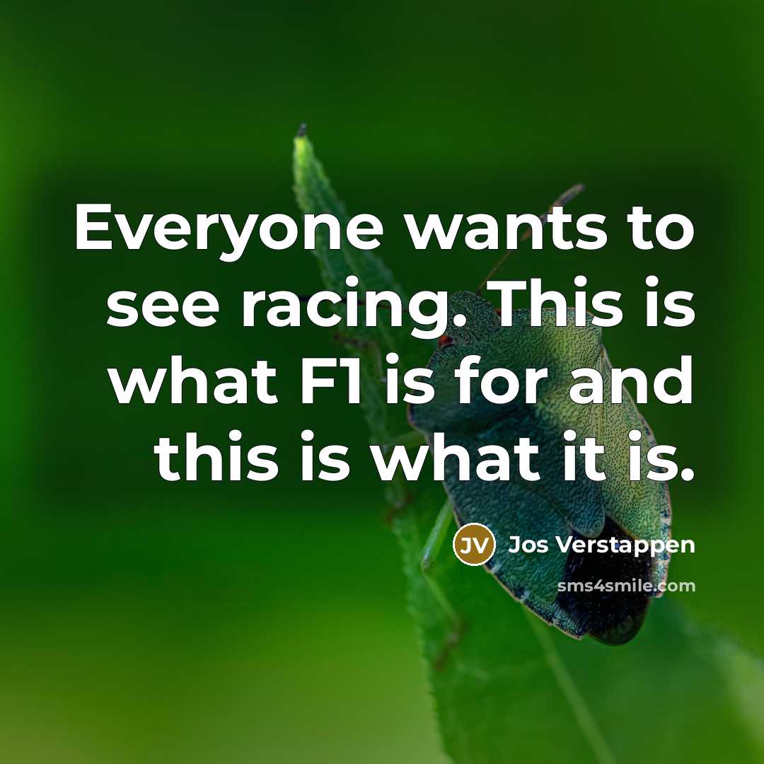 “Everyone wants to see racing. This is what F1 is…” quote by Jos Verstappen