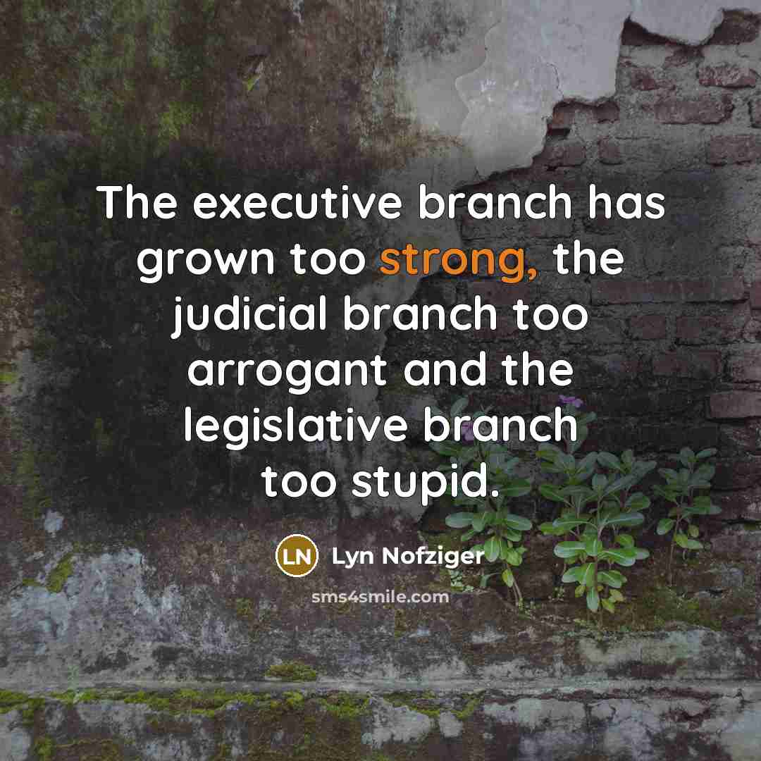 “The executive branch has grown too strong, the judicial branch…” quote by Lyn Nofziger