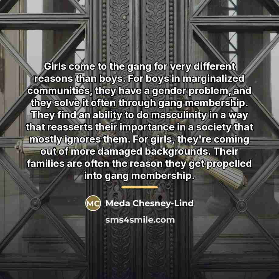 “Girls come to the gang for very different reasons than…” quote by Meda Chesney-Lind