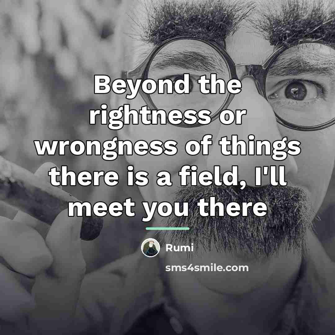 “Beyond the rightness or wrongness of things there is a…” quote by Rumi