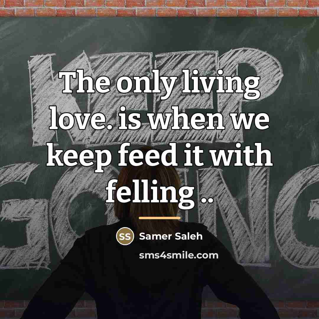 “The only living love. is when we keep feed it…” quote by Samer Saleh