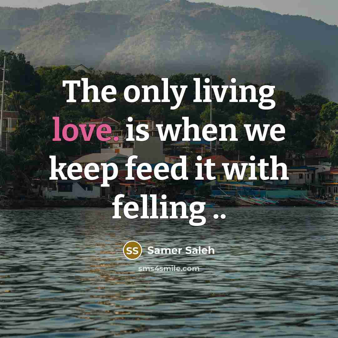 “The only living love. is when we keep feed it with felling ..” quote by Samer Saleh