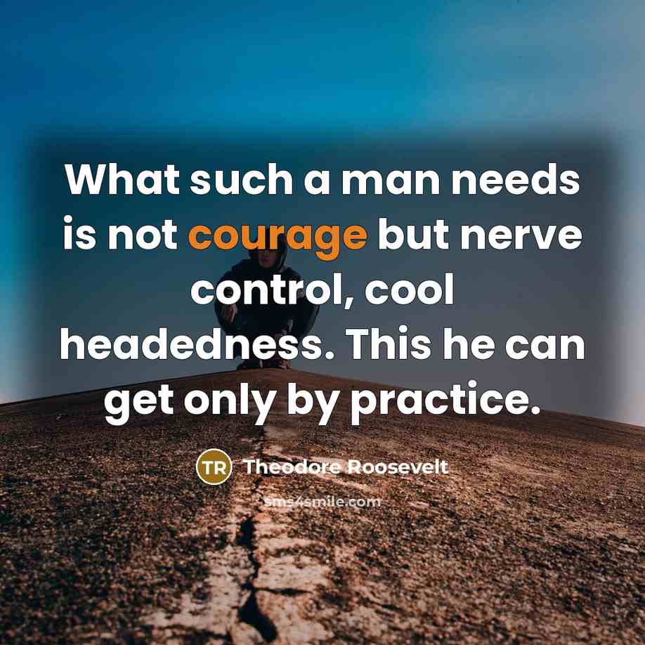 “What such a man needs is not courage but nerve…” quote by Theodore Roosevelt
