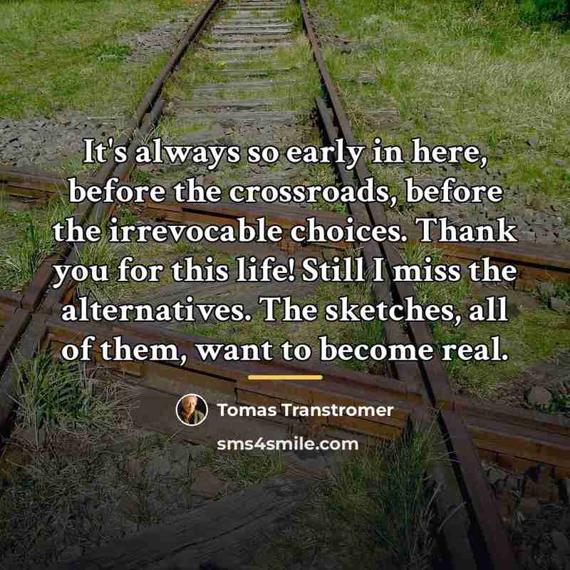 “It's always so early in here, before the crossroads, before…” quote by Tomas Transtromer