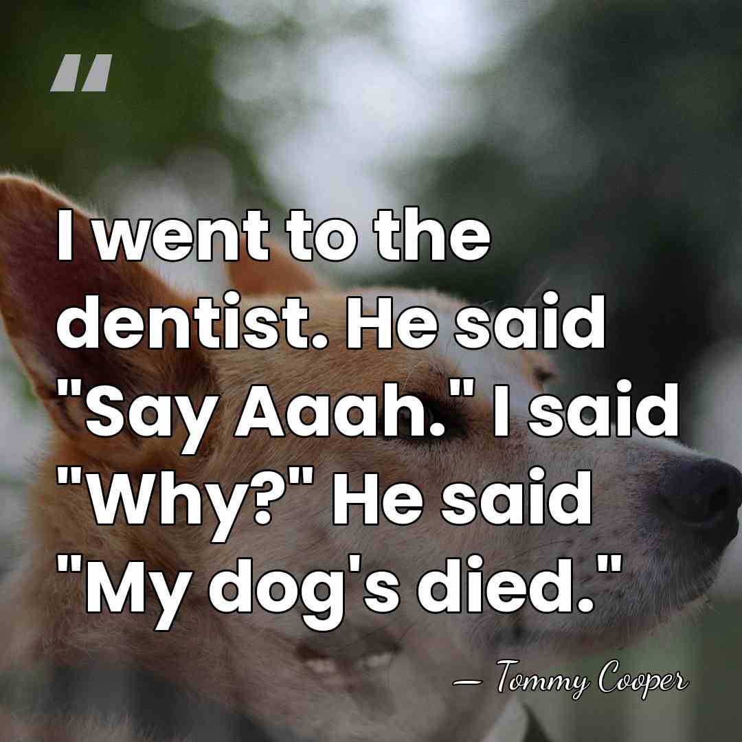 I went to the dentist. He said "Say Aaah." I said "Why?"&hellip; - Tommy Cooper