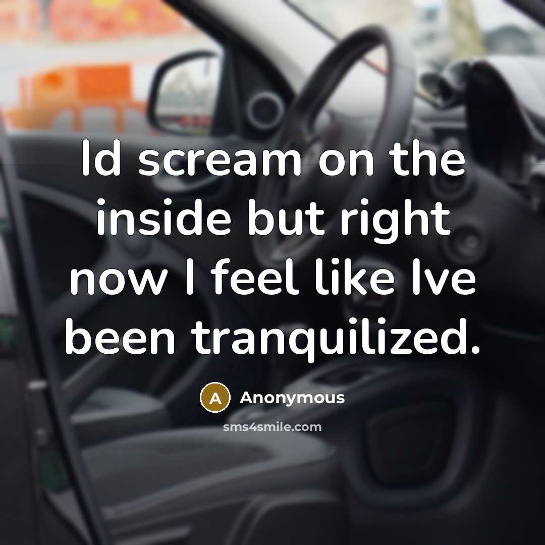 “Id scream on the inside but right now I feel…” quote by Anonymous