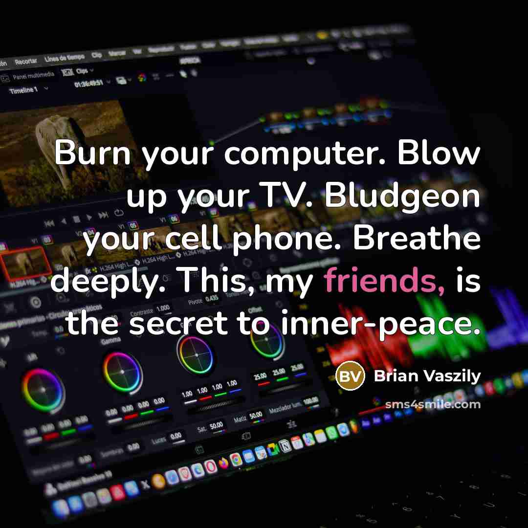 “Burn your computer. Blow up your TV. Bludgeon your cell phone. Breathe deeply. This, my friends, is the secret to inner-peace.” quote by Brian Vaszily