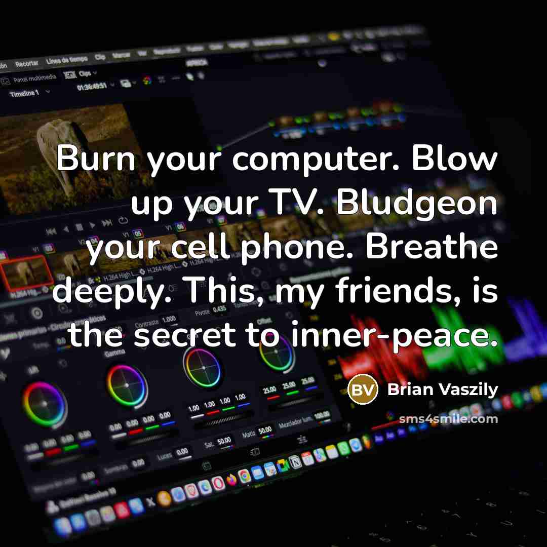 “Burn your computer. Blow up your TV. Bludgeon your cell…” quote by Brian Vaszily