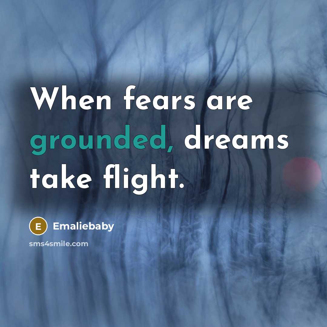 “When fears are grounded, dreams take flight.…” quote by Emaliebaby