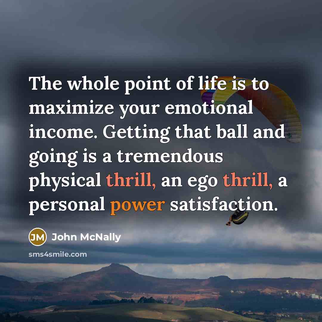 “The whole point of life is to maximize your emotional…” quote by John McNally