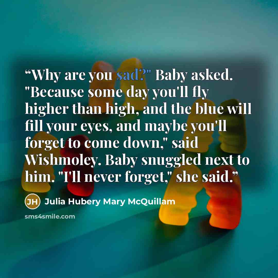 “Why are you sad?" Baby asked. "Because some day you'll fly higher than high, and the blue will fill your eyes, and maybe you'll forget to come down," said Wishmoley. Baby snuggled next to him. "I'll never forget," she said.” quote by Julia Hubery Mary McQuillam