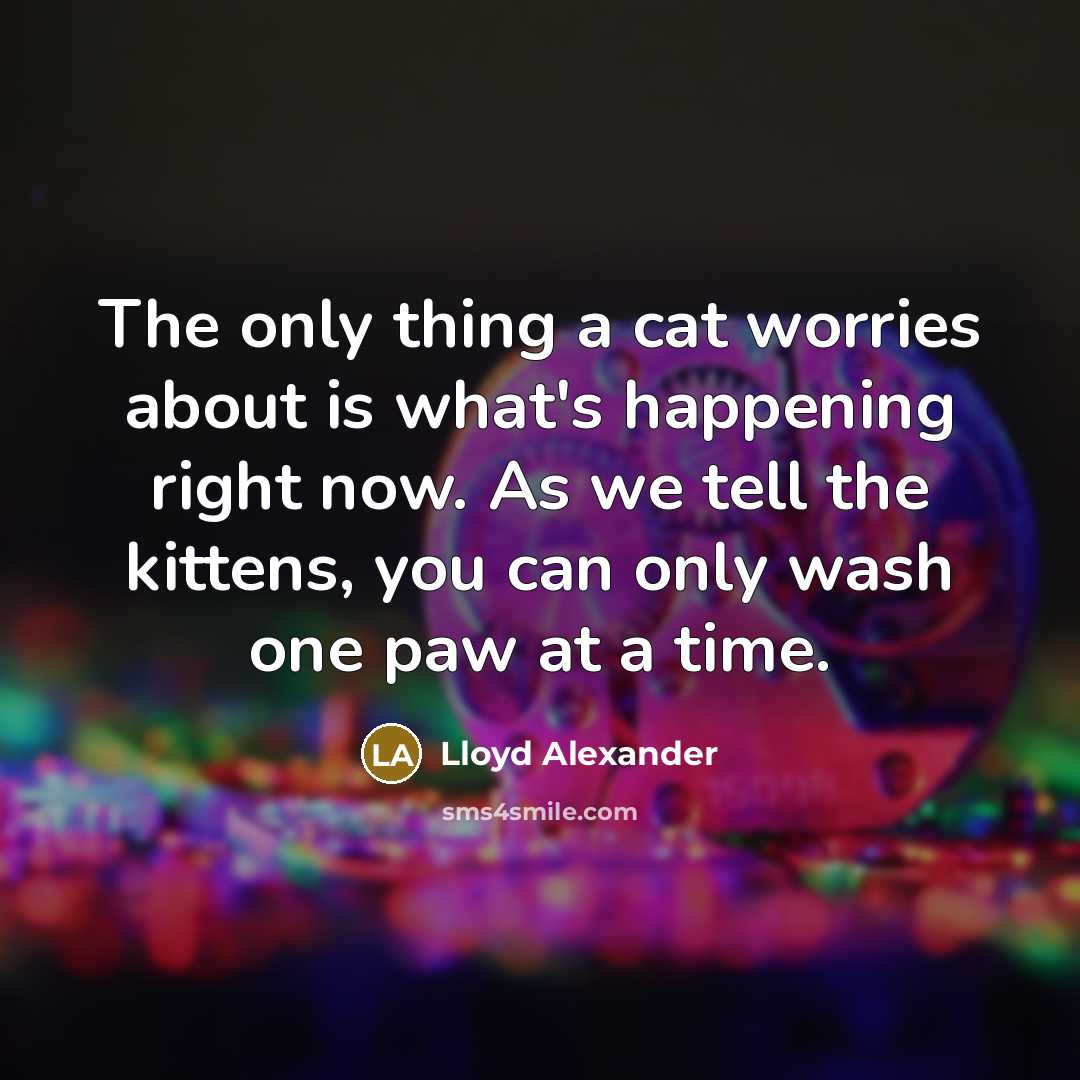 “The only thing a cat worries about is what's happening…” quote by Lloyd Alexander