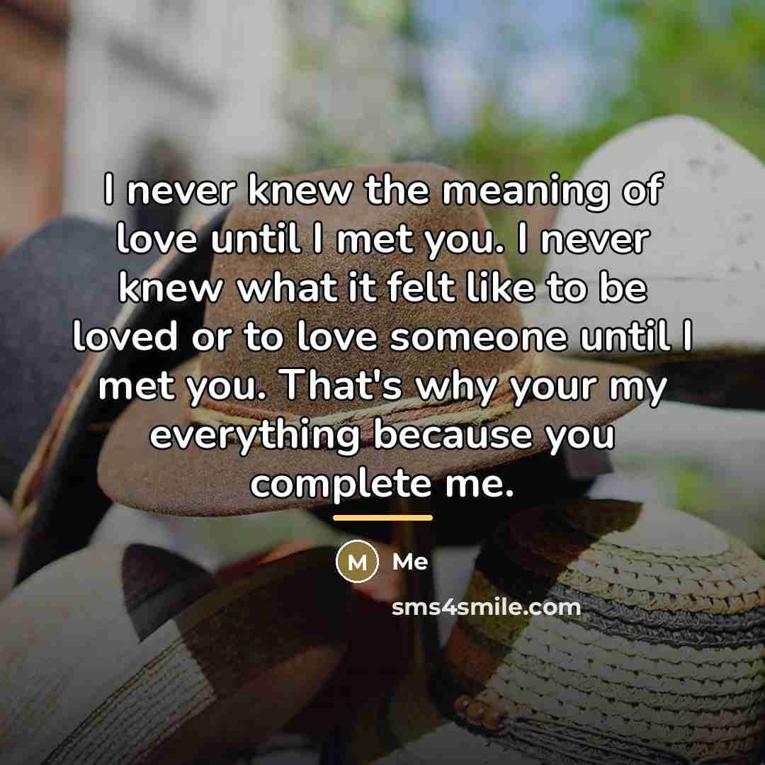 “I never knew the meaning of love until I met…” quote by Me
