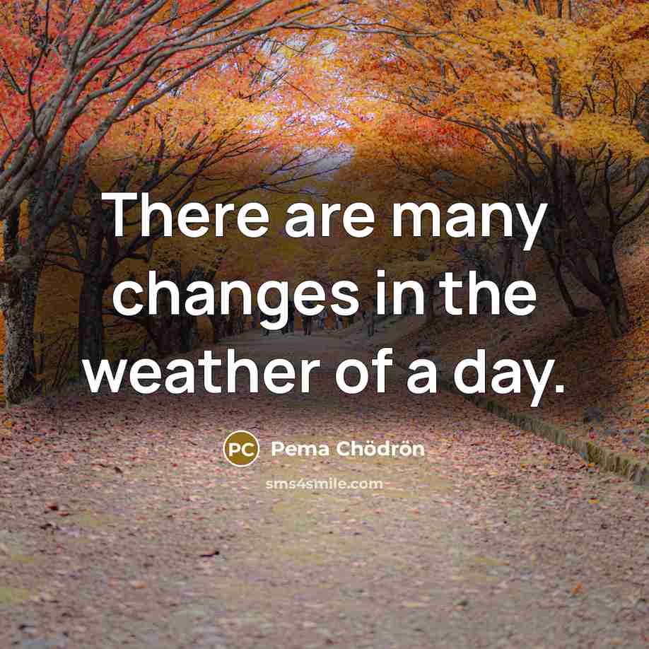 “There are many changes in the weather of a day.…” quote by Pema Chodron