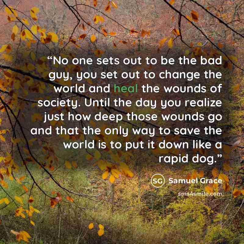 “No one sets out to be the bad guy, you set out to change the world and heal the wounds of society. Until the day you realize just how deep those wounds go and that the only way to save the world is to put it down like a rapid dog.” quote by Samuel Grace