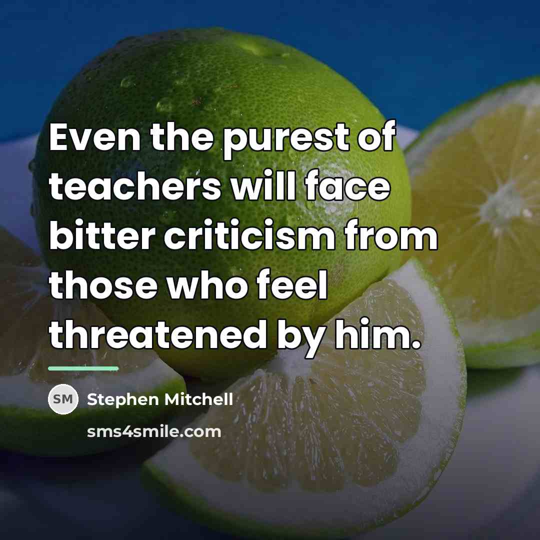 “Even the purest of teachers will face bitter criticism from…” quote by Stephen Mitchell