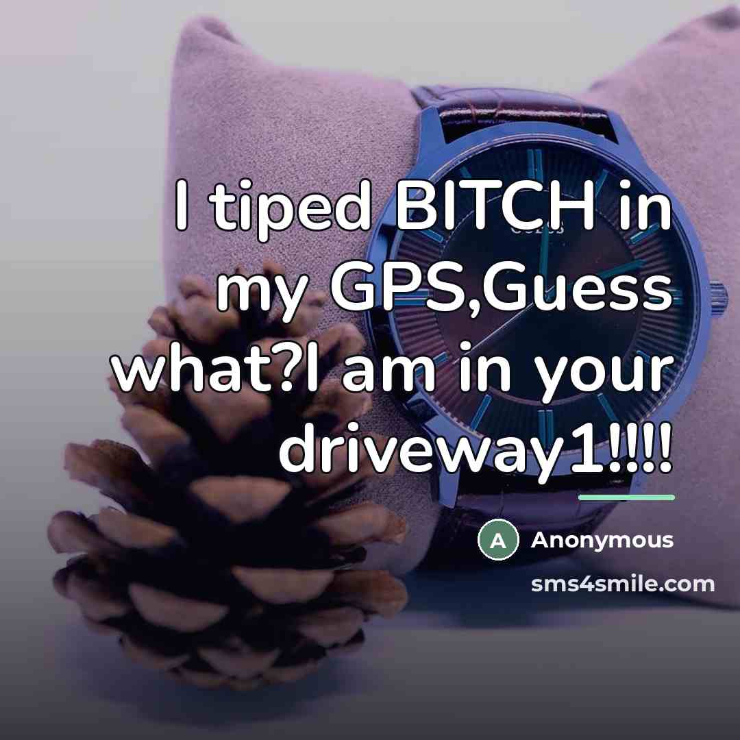 “I tiped BITCH in my GPS,Guess what?I am in your…” quote by Anonymous