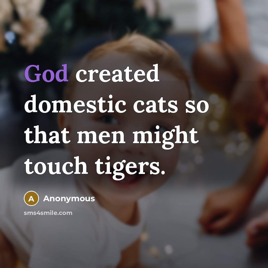 “God created domestic cats so that men might touch tigers.…” quote by Anonymous