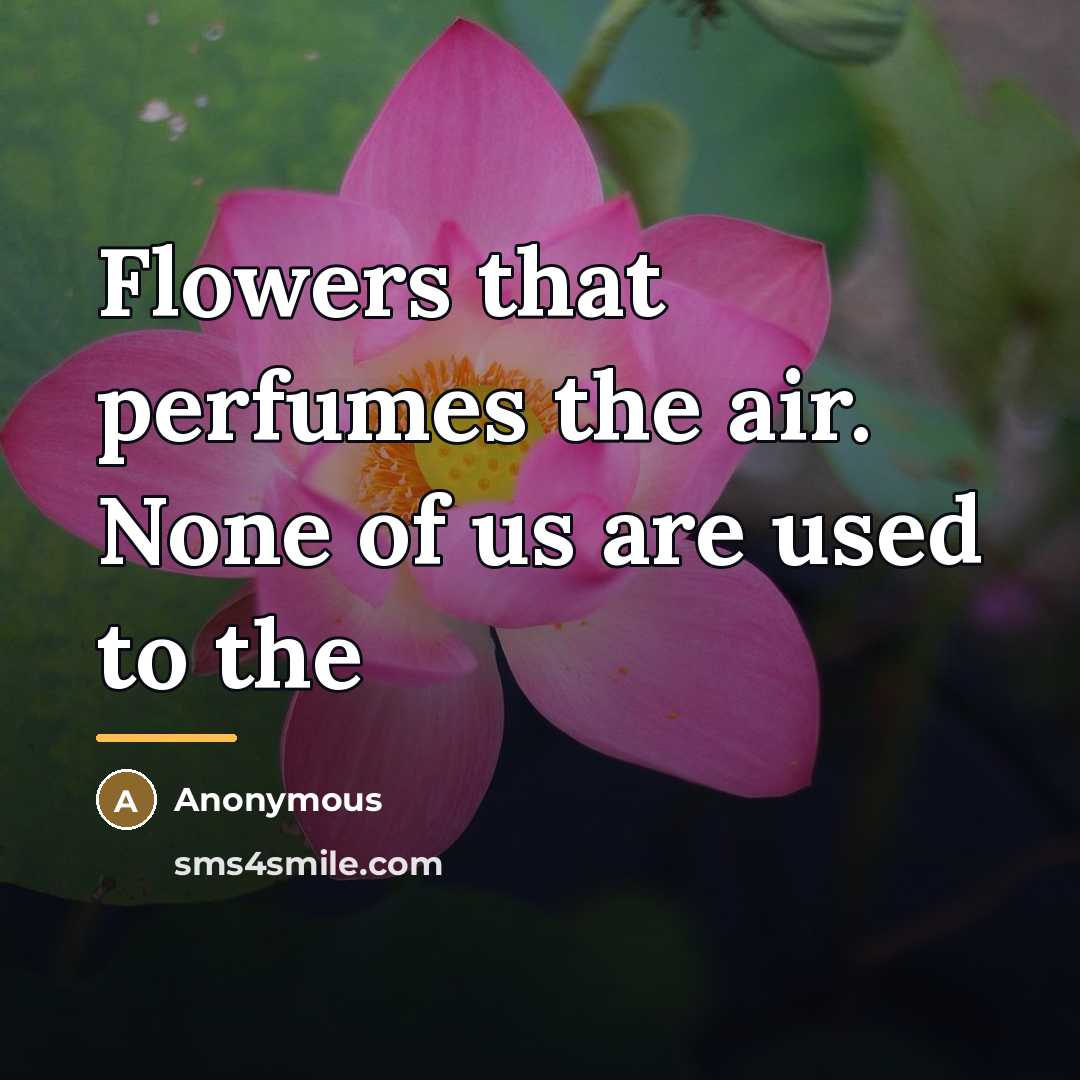 “Flowers that perfumes the air. None of us are used…” quote by Anonymous