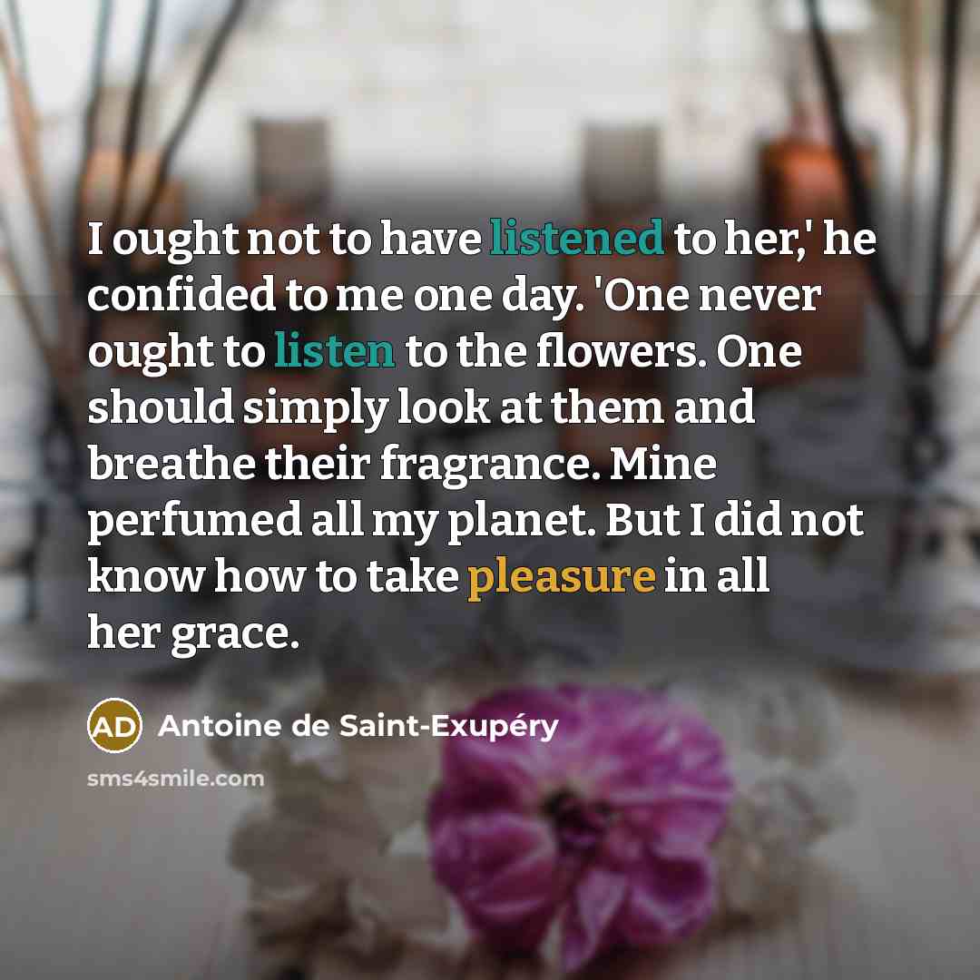 “I ought not to have listened to her,' he confided…” quote by Antoine de Saint-Exupery