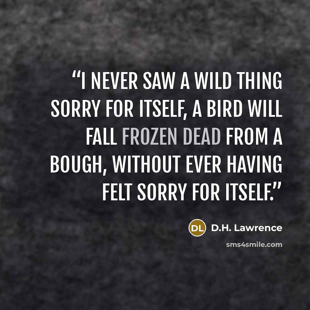 “I never saw a wild thing sorry for itself, A bird will fall frozen dead from a bough, Without ever having felt sorry for itself.” quote by D.H. Lawrence