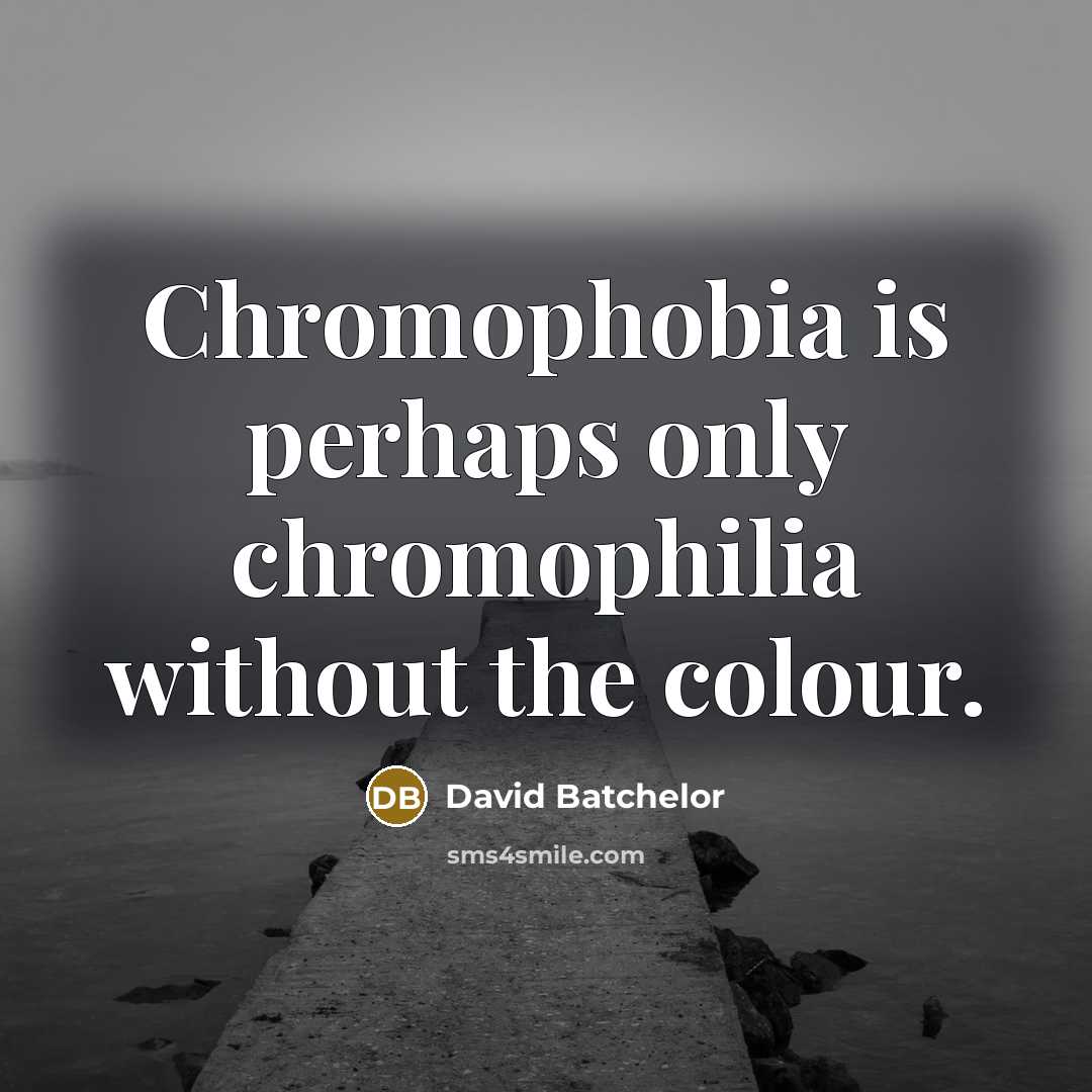 “Chromophobia is perhaps only chromophilia without the colour.…” quote by David Batchelor