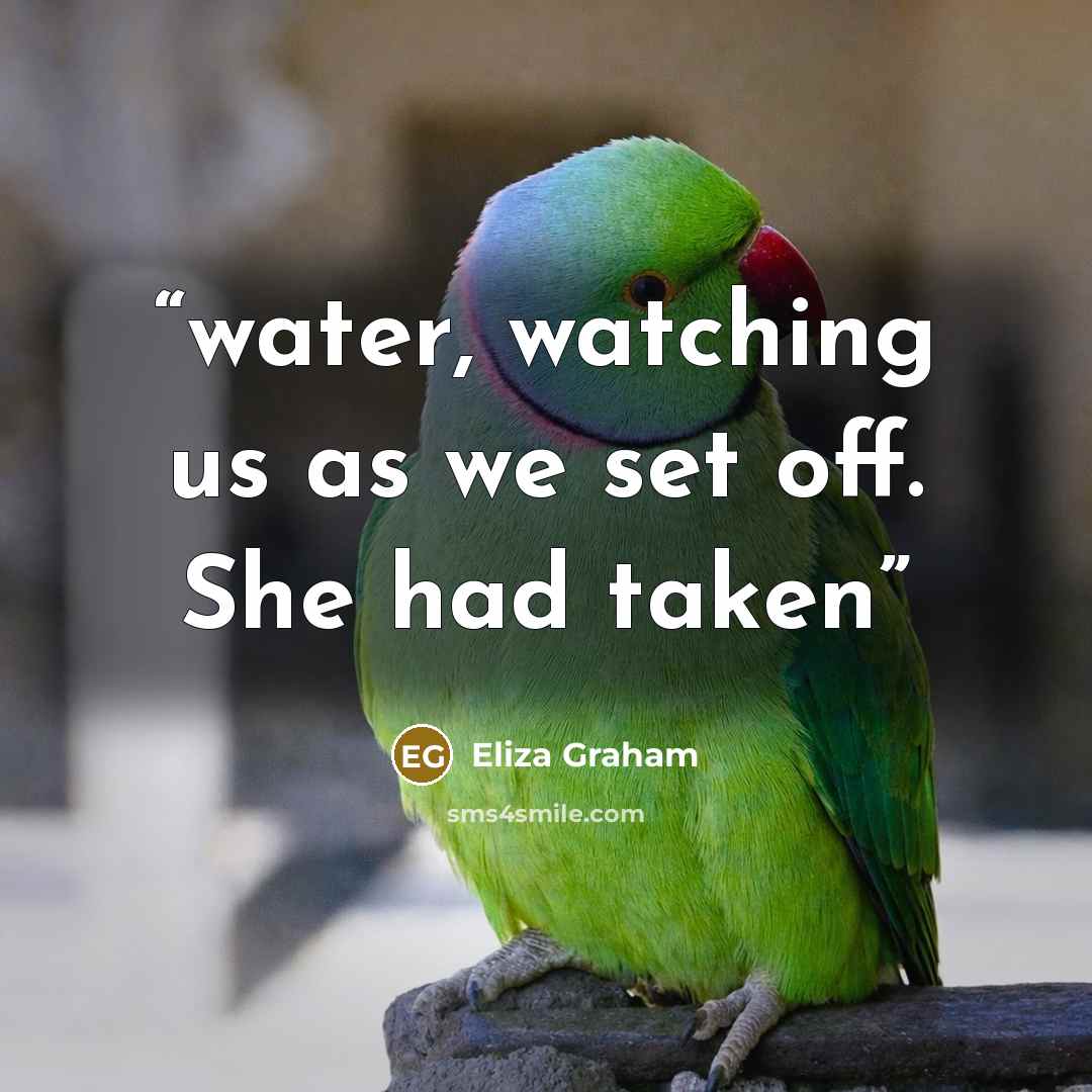 “water, watching us as we set off. She had taken” quote by Eliza Graham
