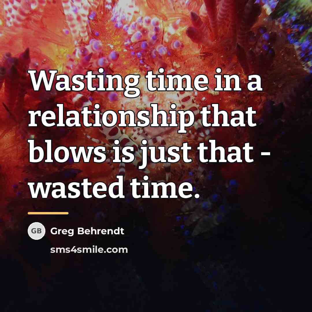 “Wasting time in a relationship that blows is just that…” quote by Greg Behrendt