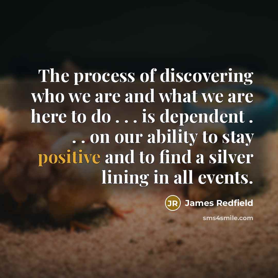 “The process of discovering who we are and what we…” quote by James Redfield