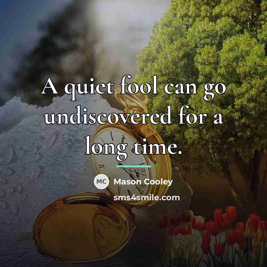 “A quiet fool can go undiscovered for a long time.…” quote by Mason Cooley