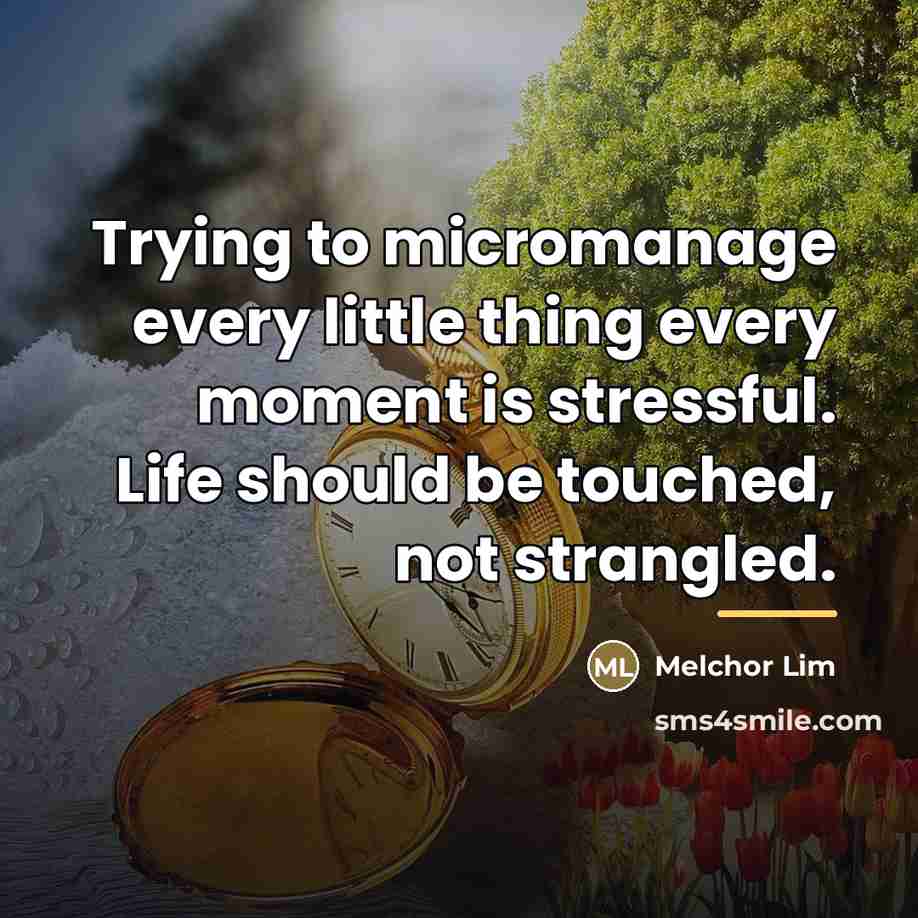 “Trying to micromanage every little thing every moment is stressful.…” quote by Melchor Lim