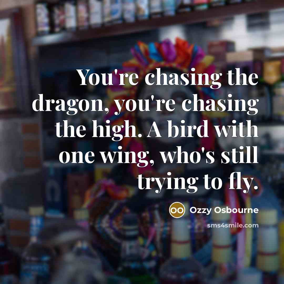 “You're chasing the dragon, you're chasing the high. A bird…” quote by Ozzy Osbourne