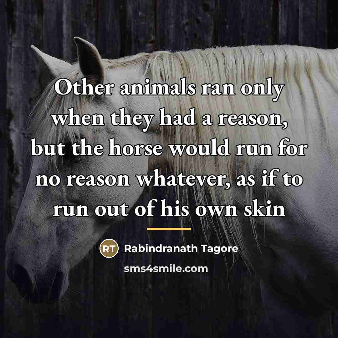 “Other animals ran only when they had a reason, but…” quote by Rabindranath Tagore