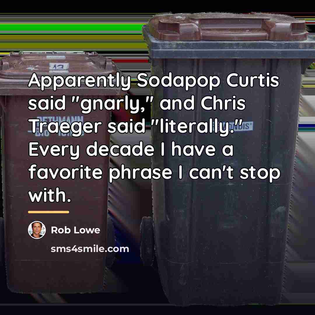 “Apparently Sodapop Curtis said "gnarly," and Chris Traeger said "literally."…” quote by Rob Lowe