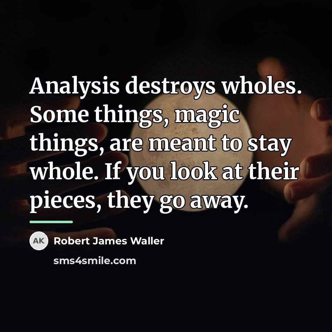 “Analysis destroys wholes. Some things, magic things, are meant to…” quote by Robert James Waller