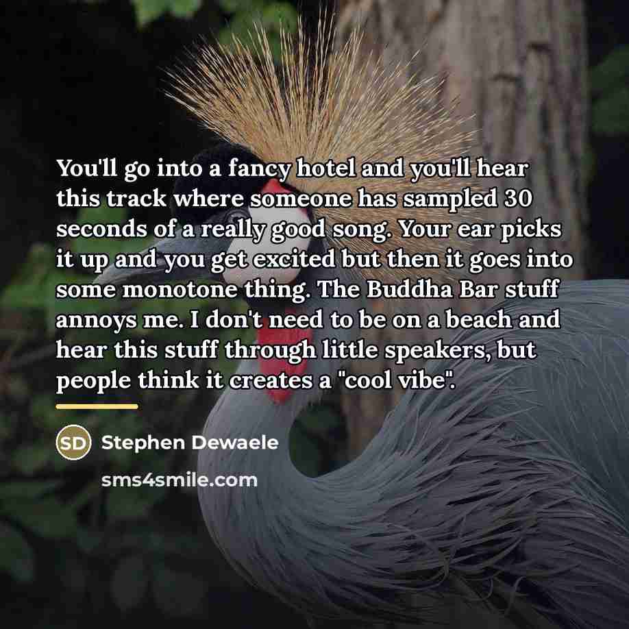 “You'll go into a fancy hotel and you'll hear this…” quote by Stephen Dewaele