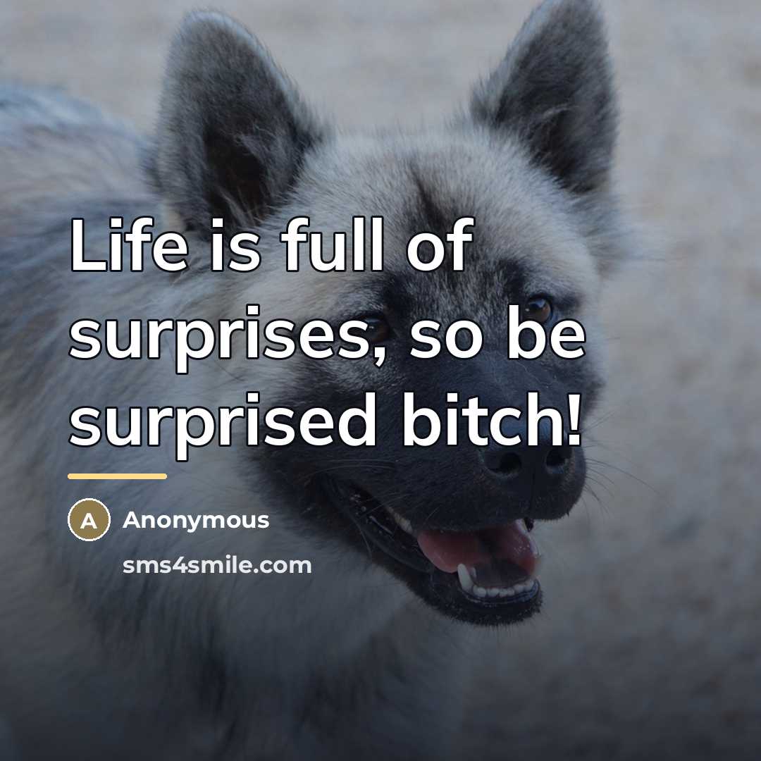 “Life is full of surprises, so be surprised bitch!…” quote by Anonymous