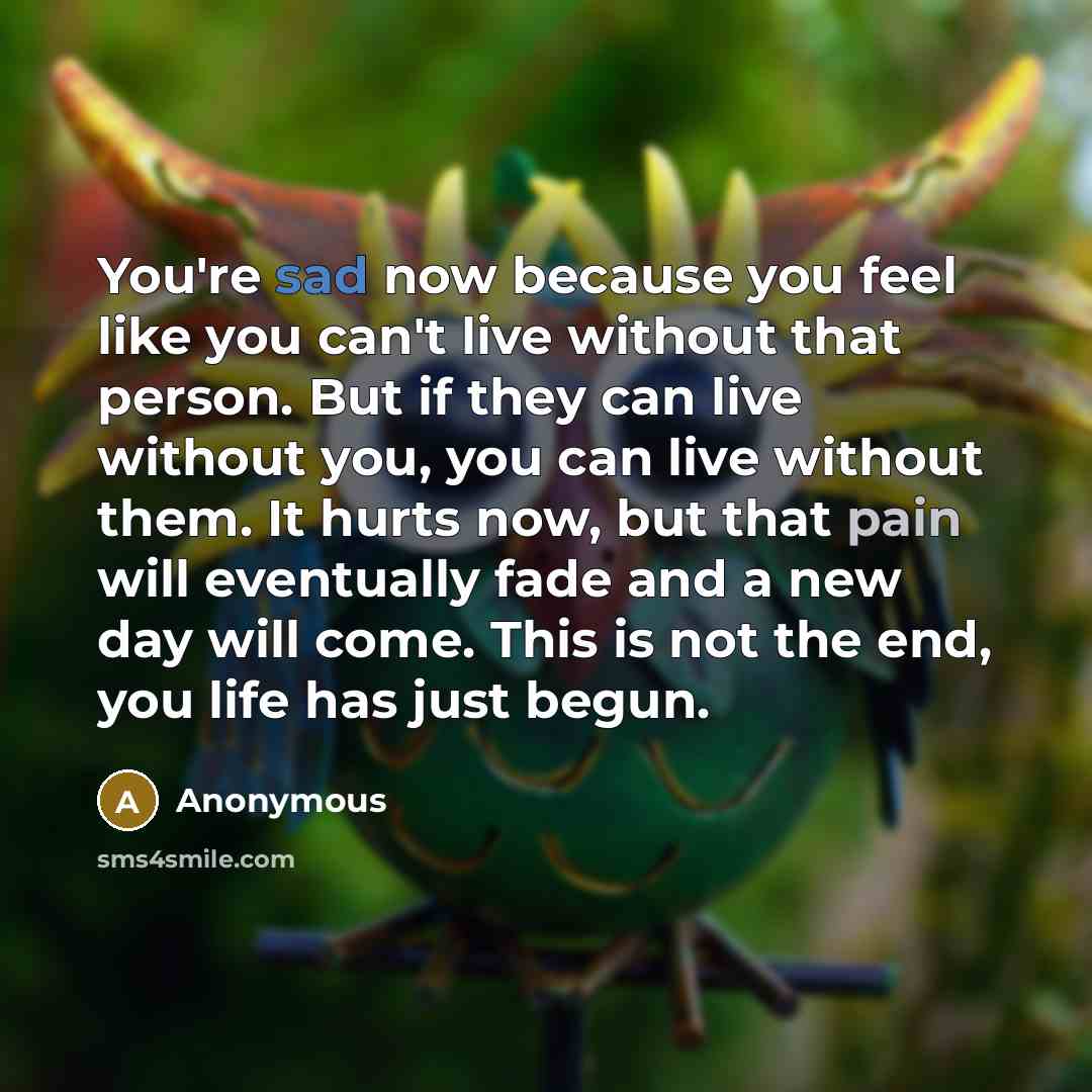 “You're sad now because you feel like you can't live…” quote by Anonymous
