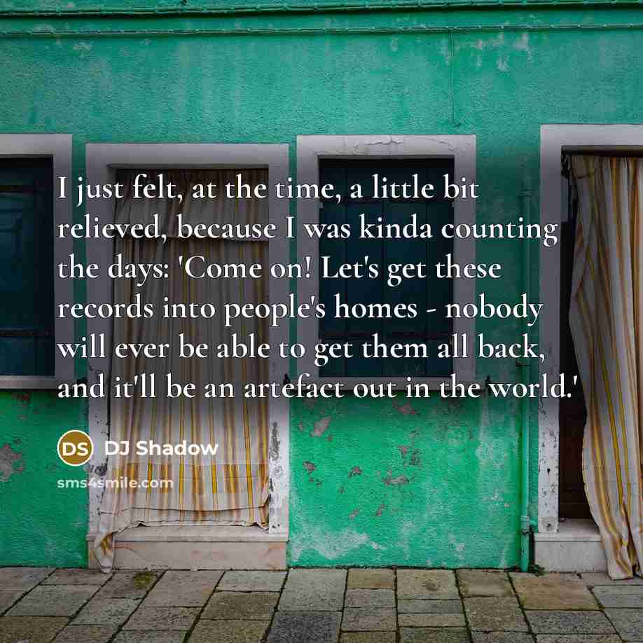 “I just felt, at the time, a little bit relieved,…” quote by DJ Shadow