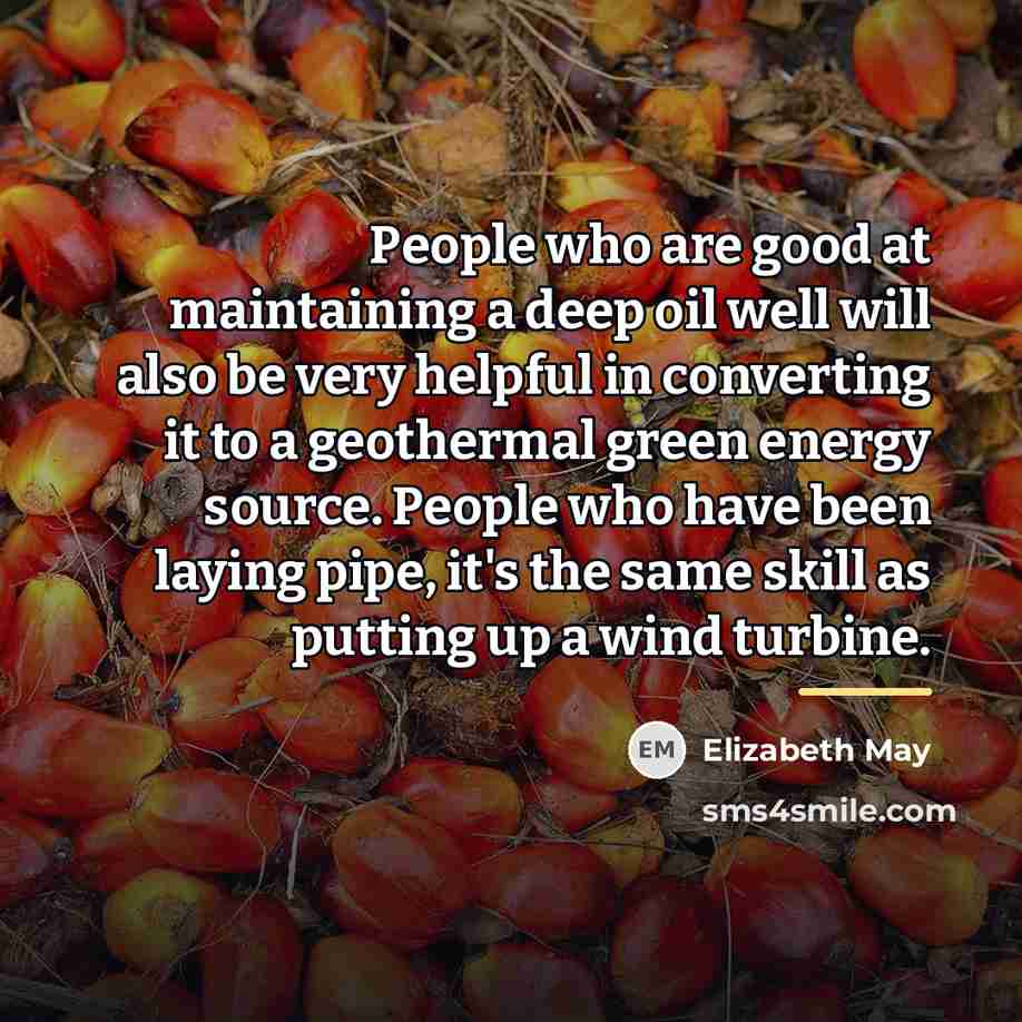 “People who are good at maintaining a deep oil well…” quote by Elizabeth May