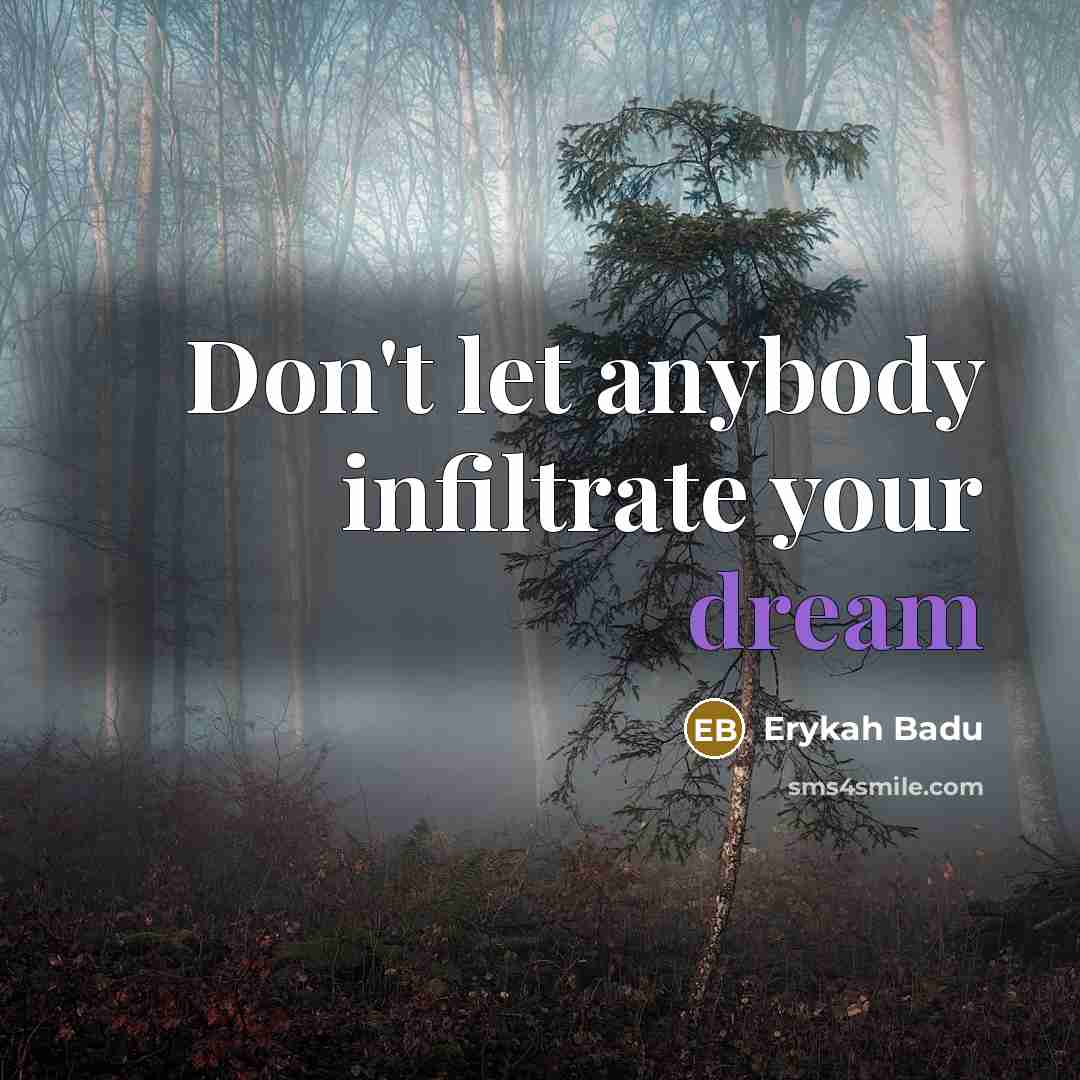 “Don't let anybody infiltrate your dream…” quote by Erykah Badu