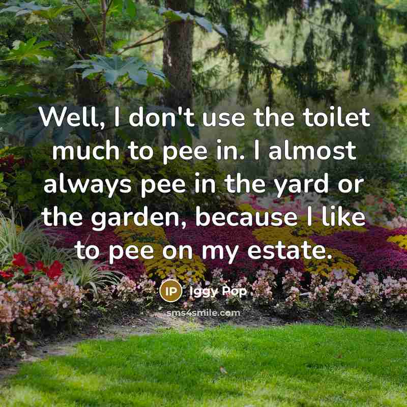 “Well, I don't use the toilet much to pee in.…” quote by Iggy Pop