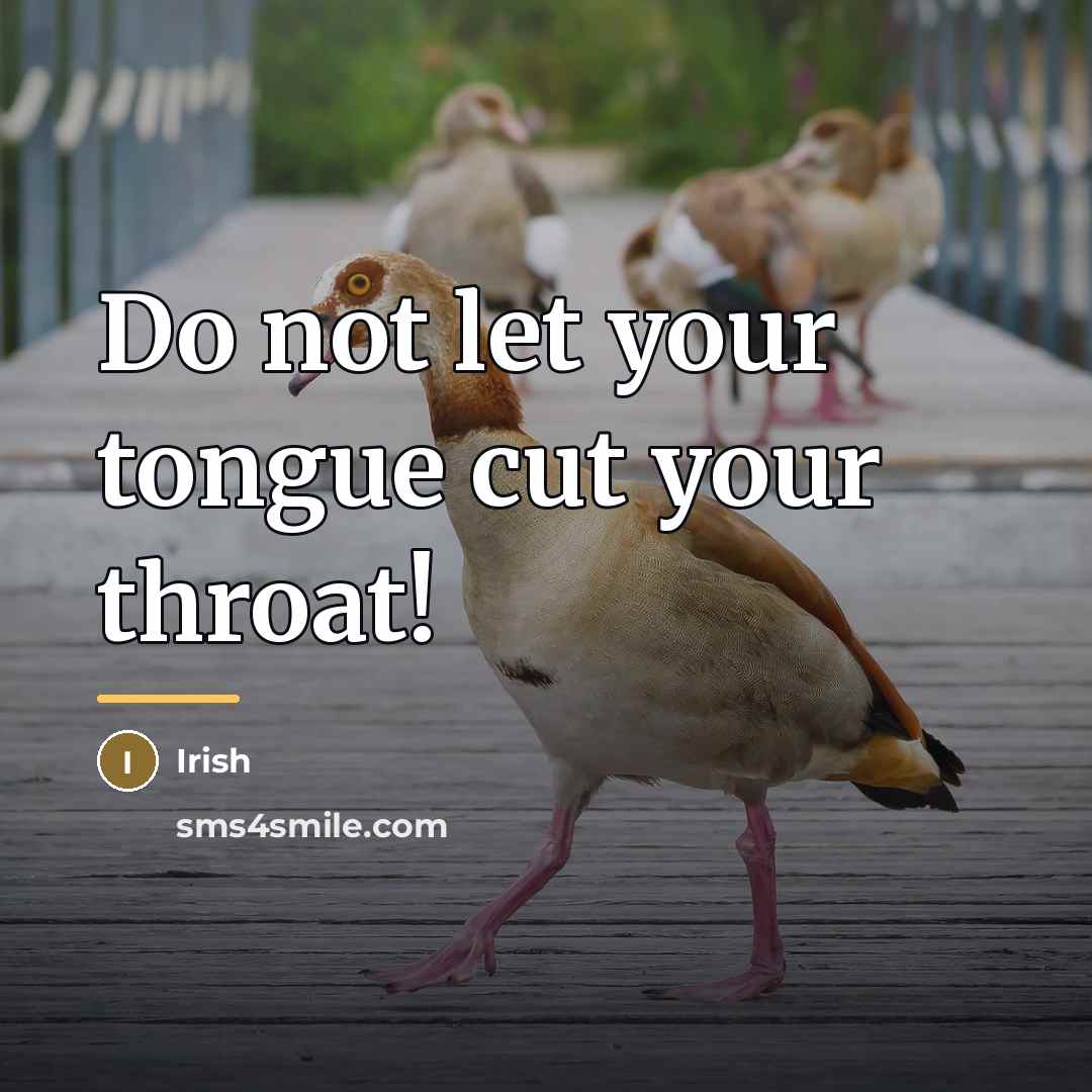 “Do not let your tongue cut your throat!…” quote by Irish